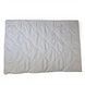 Protective pillowcase 50x70 with zipper 60179 photo 3